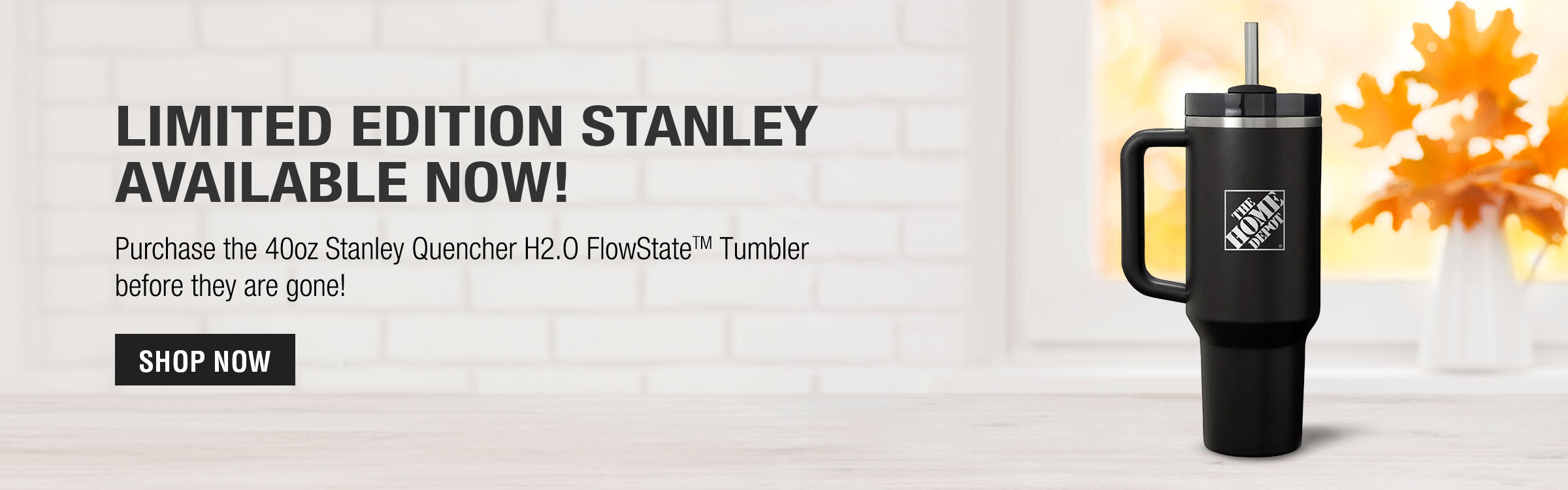 LIMITED EDITION! STANLEY AVAILABLE NOW